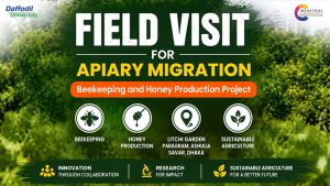 IIC Team visits Litchi Garden for Apiary Migration